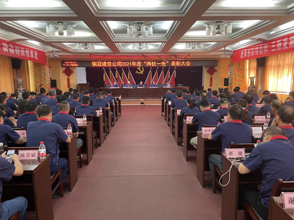 公司召開“兩優(yōu)一先”表彰大會
